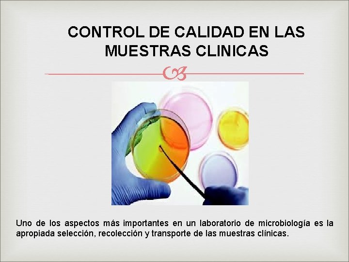 CONTROL DE CALIDAD EN LAS MUESTRAS CLINICAS Uno de los aspectos más importantes en