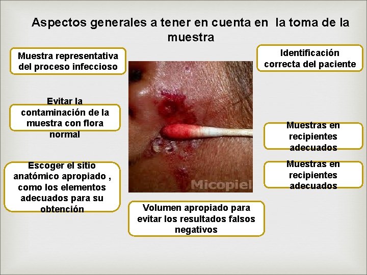 Aspectos generales a tener en cuenta en la toma de la muestra Identificación correcta