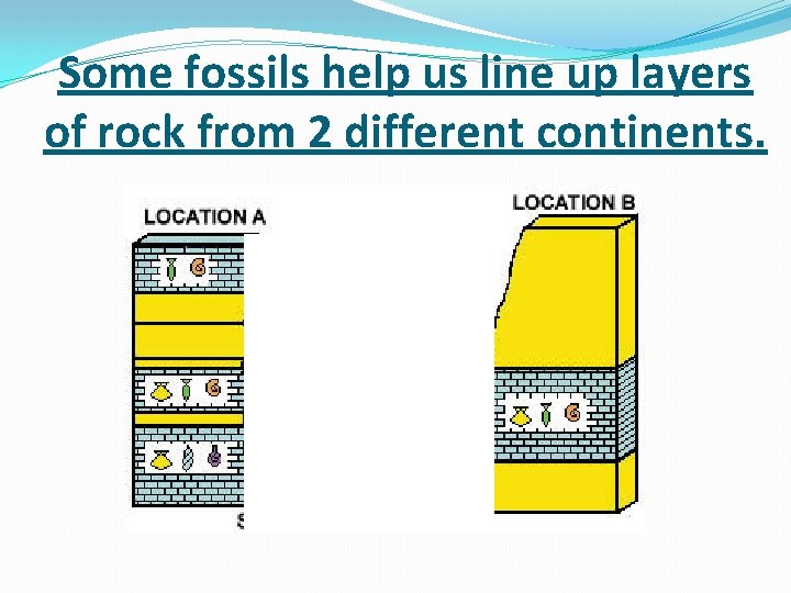 Some fossils help us line up layers of rock from 2 different continents. 