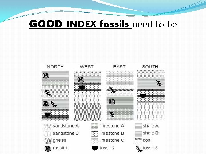 GOOD INDEX fossils need to be 