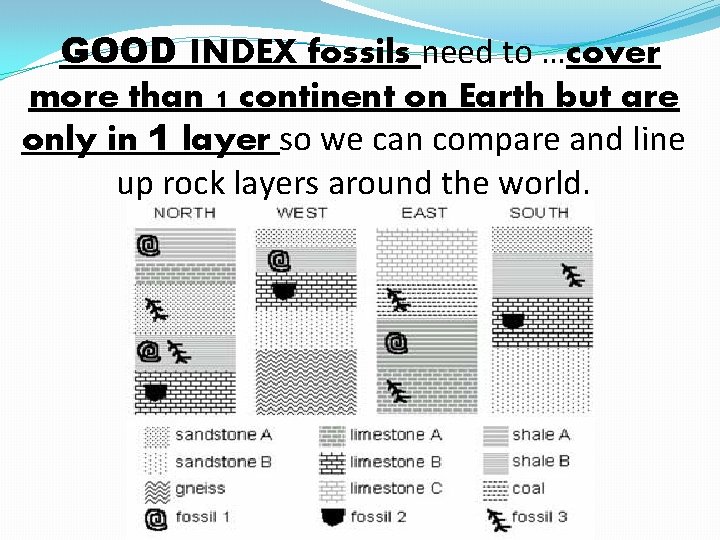 GOOD INDEX fossils need to …cover more than 1 continent on Earth but are
