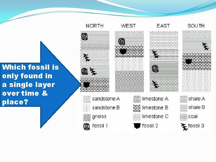 Which fossil is only found in a single layer over time & place? 