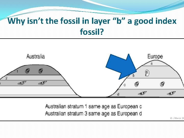 Why isn’t the fossil in layer “b” a good index fossil? 