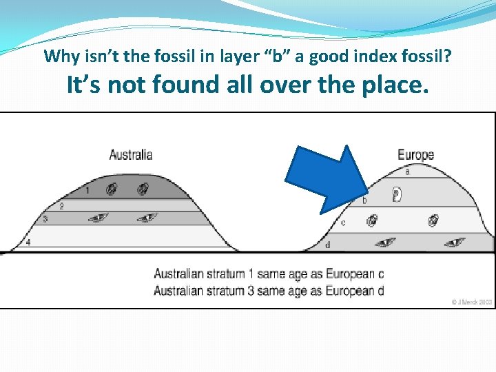 Why isn’t the fossil in layer “b” a good index fossil? It’s not found