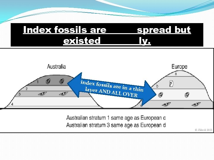 Index fossils are _ _spread but existed _ _ _ly. index fos sils are