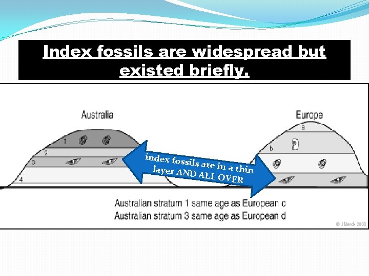 Index fossils are widespread but existed briefly. index fos sils are in a th