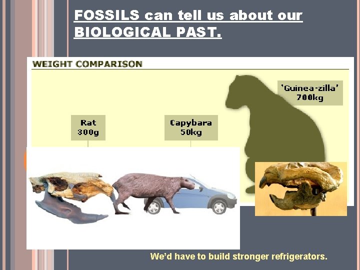 FOSSILS can tell us about our BIOLOGICAL PAST. We’d have to build stronger refrigerators.