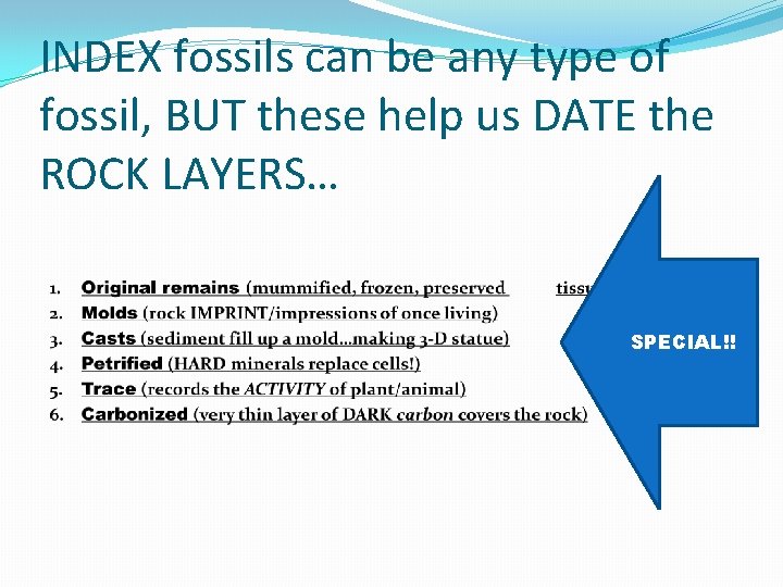 INDEX fossils can be any type of fossil, BUT these help us DATE the