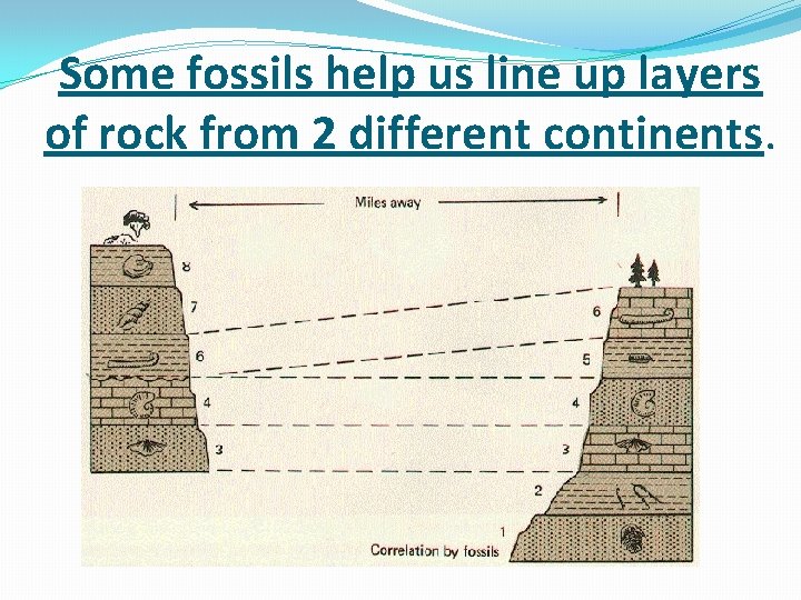 Some fossils help us line up layers of rock from 2 different continents. 