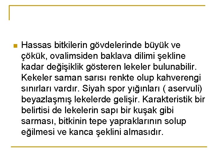 n Hassas bitkilerin gövdelerinde büyük ve çökük, ovalimsiden baklava dilimi şekline kadar değişiklik gösteren