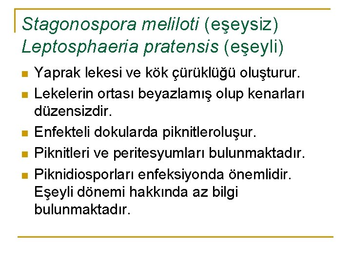 Stagonospora meliloti (eşeysiz) Leptosphaeria pratensis (eşeyli) n n n Yaprak lekesi ve kök çürüklüğü