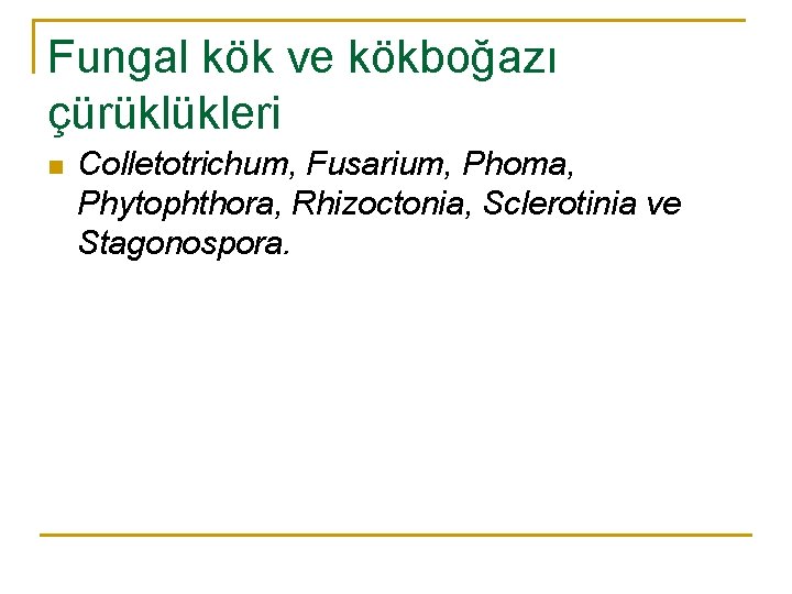 Fungal kök ve kökboğazı çürüklükleri n Colletotrichum, Fusarium, Phoma, Phytophthora, Rhizoctonia, Sclerotinia ve Stagonospora.