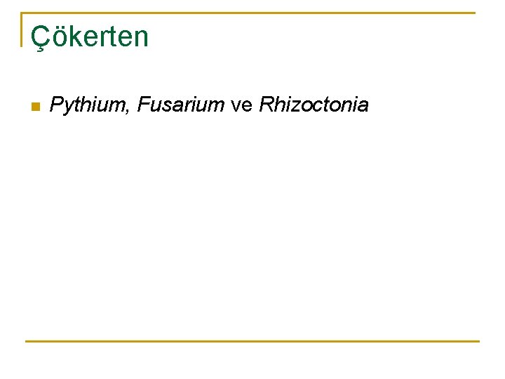 Çökerten n Pythium, Fusarium ve Rhizoctonia 