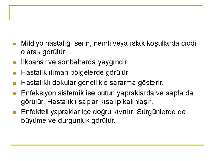 n n n Mildiyö hastalığı serin, nemli veya ıslak koşullarda ciddi olarak görülür. İlkbahar