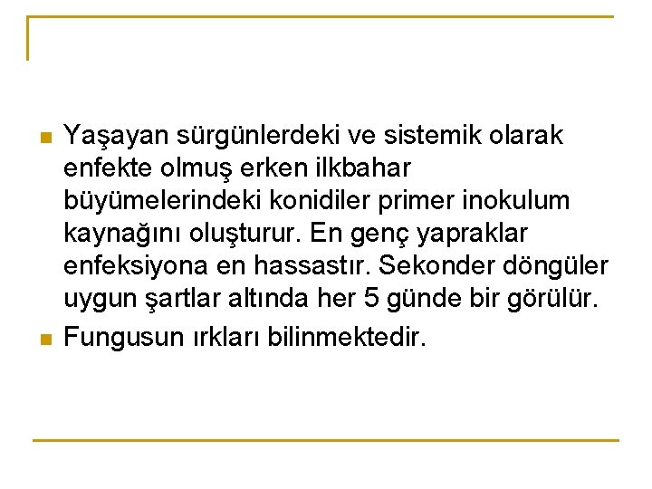 n n Yaşayan sürgünlerdeki ve sistemik olarak enfekte olmuş erken ilkbahar büyümelerindeki konidiler primer