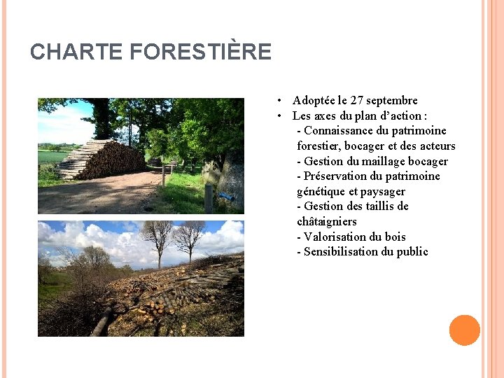 CHARTE FORESTIÈRE • Adoptée le 27 septembre • Les axes du plan d’action :