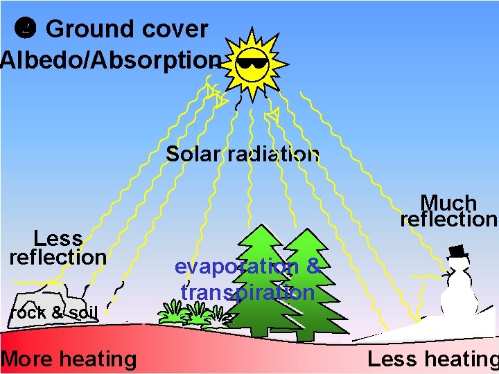  Ground cover Albedo/Absorption Solar radiation Less reflection rock & soil More heating Much