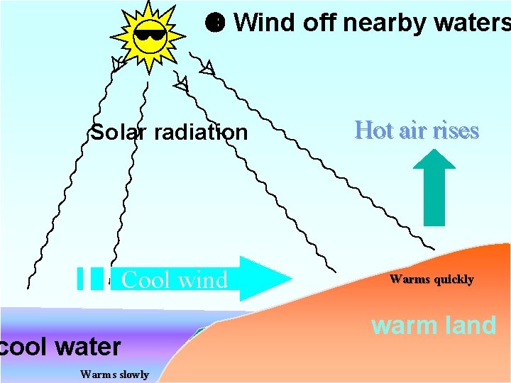  Wind off nearby waters Solar radiation Cool wind cool water Warms slowly Hot