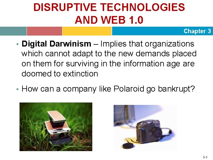 DISRUPTIVE TECHNOLOGIES AND WEB 1. 0 Chapter 3 • Digital Darwinism – Implies that