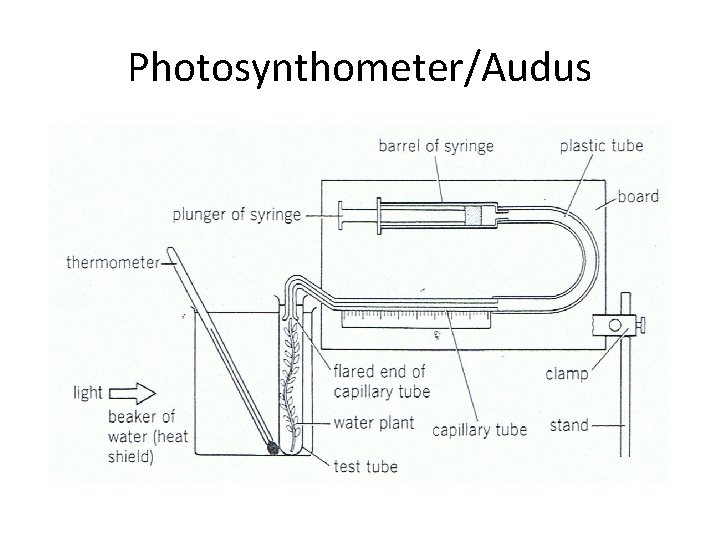 Photosynthometer/Audus 