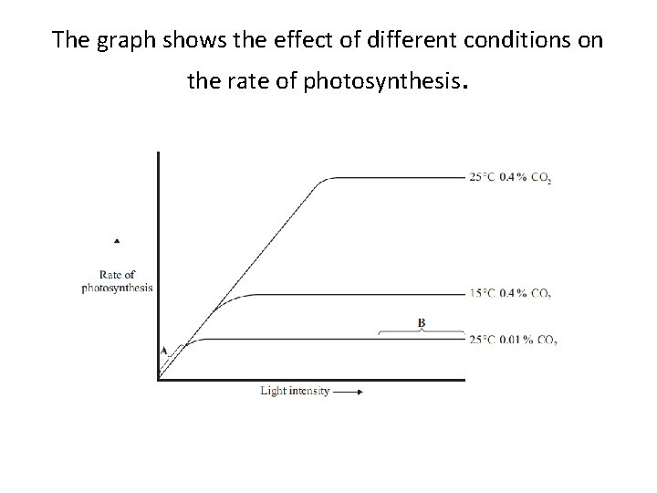 The graph shows the effect of different conditions on the rate of photosynthesis. 