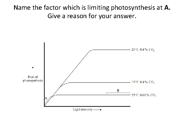 Name the factor which is limiting photosynthesis at A. Give a reason for your