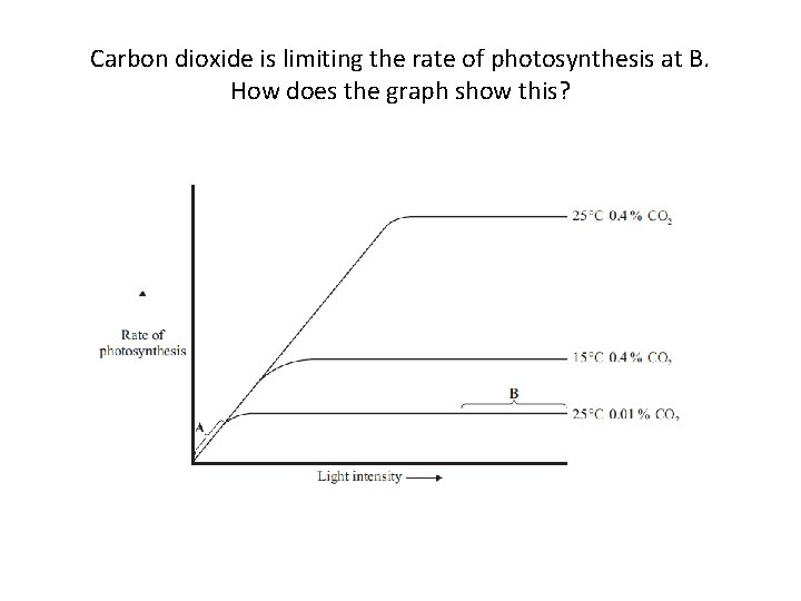 Carbon dioxide is limiting the rate of photosynthesis at B. How does the graph