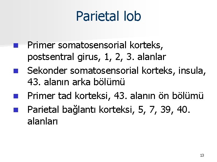 Parietal lob Primer somatosensorial korteks, postsentral girus, 1, 2, 3. alanlar n Sekonder somatosensorial