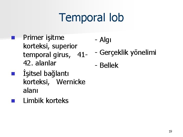 Temporal lob n n n Primer işitme korteksi, superior temporal girus, 4142. alanlar İşitsel