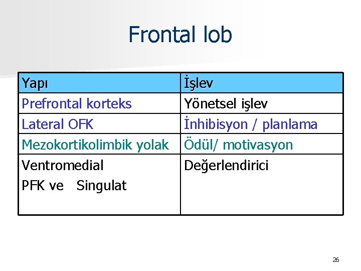 Frontal lob Yapı Prefrontal korteks Lateral OFK Mezokortikolimbik yolak Ventromedial PFK ve Singulat İşlev