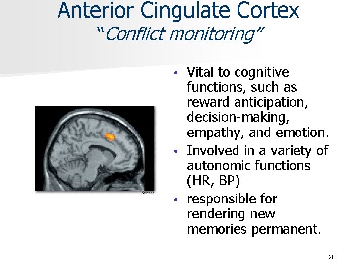 Anterior Cingulate Cortex “Conflict monitoring” Vital to cognitive functions, such as reward anticipation, decision-making,