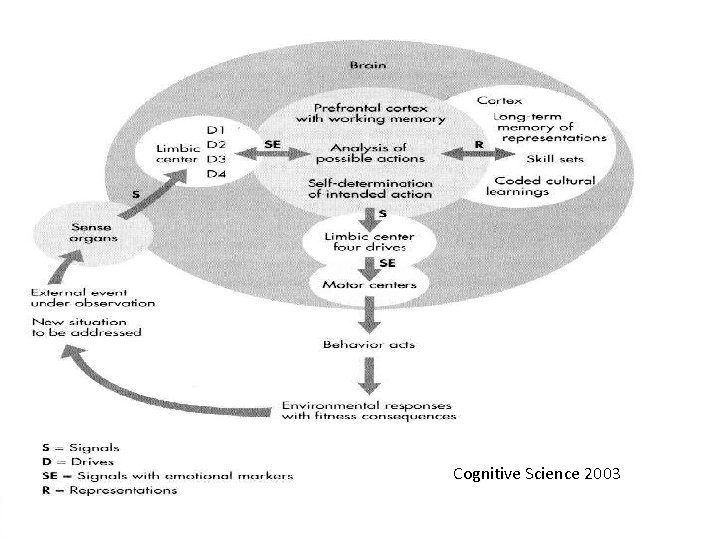 Cognitive Science 2003 