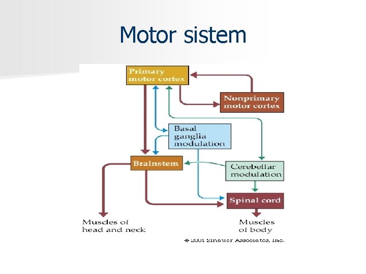 Motor sistem 