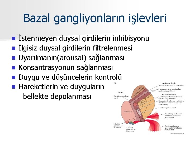 Bazal gangliyonların işlevleri n n n İstenmeyen duysal girdilerin inhibisyonu İlgisiz duysal girdilerin filtrelenmesi