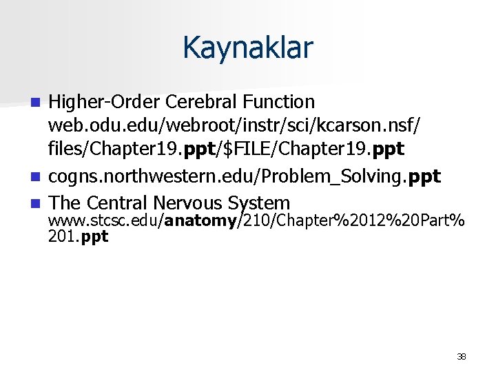 Kaynaklar Higher-Order Cerebral Function web. odu. edu/webroot/instr/sci/kcarson. nsf/ files/Chapter 19. ppt/$FILE/Chapter 19. ppt n