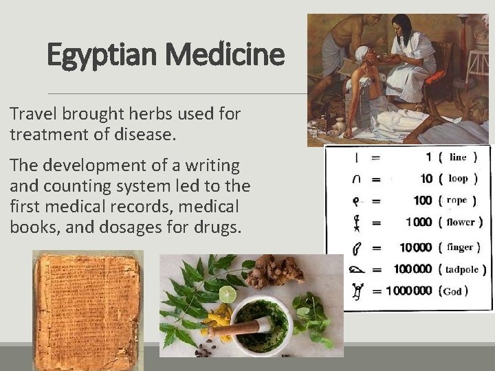 Egyptian Medicine Travel brought herbs used for treatment of disease. The development of a