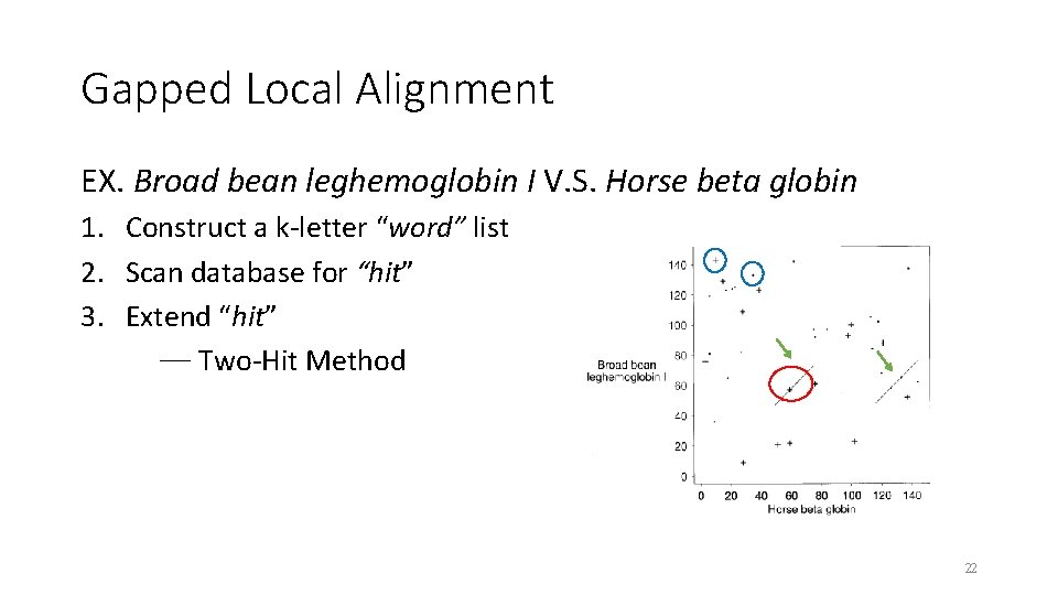 Gapped Local Alignment EX. Broad bean leghemoglobin I V. S. Horse beta globin 1.