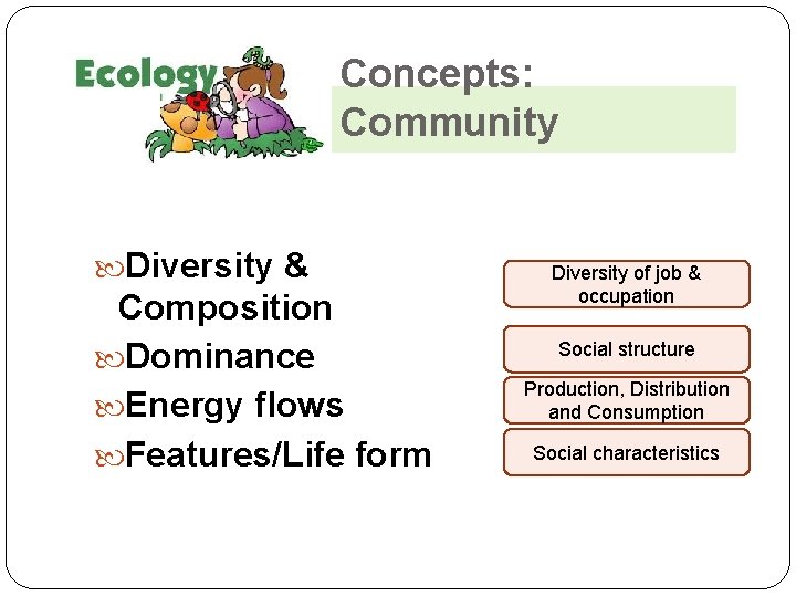 Concepts: Community Diversity & Composition Dominance Energy flows Features/Life form Diversity of job &