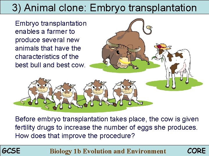 3) Animal clone: Embryo transplantation enables a farmer to produce several new animals that