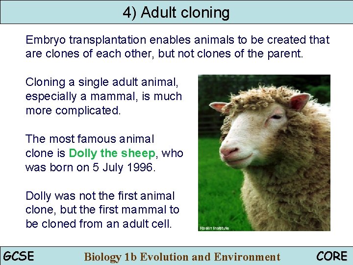 4) Adult cloning Embryo transplantation enables animals to be created that are clones of