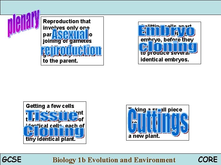 Reproduction that involves only one parent. There is no joining of gametes and the