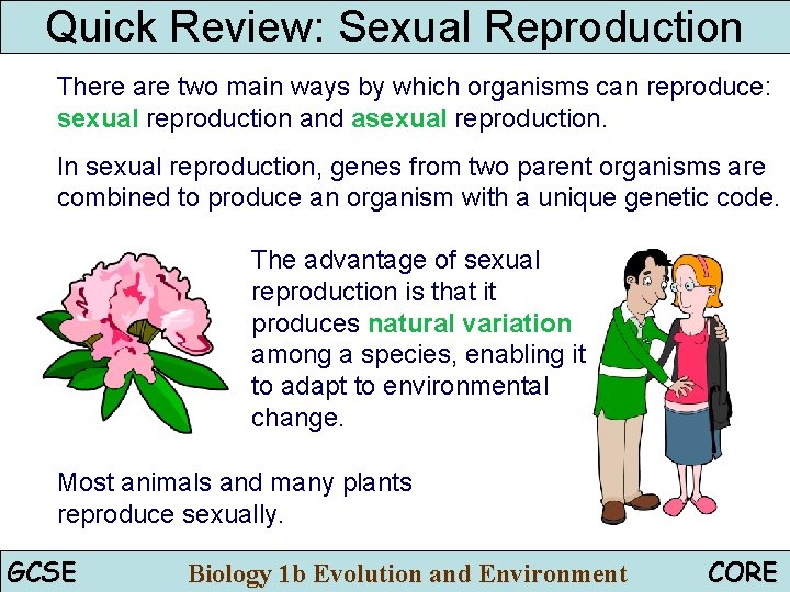 Quick Review: Sexual Reproduction There are two main ways by which organisms can reproduce: