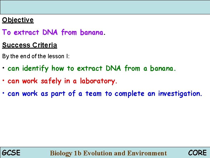 Objective To extract DNA from banana Success Criteria By the end of the lesson