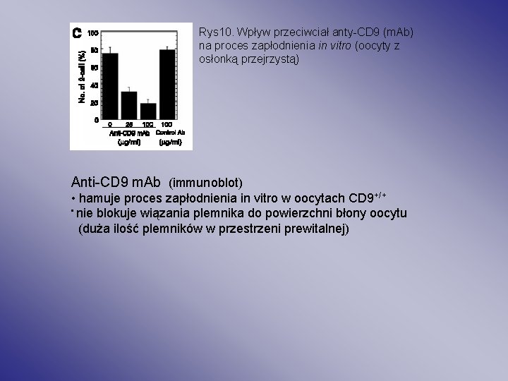 Rys 10. Wpływ przeciwciał anty-CD 9 (m. Ab) na proces zapłodnienia in vitro (oocyty