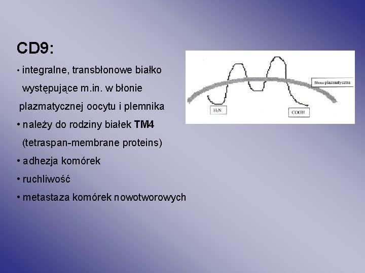 CD 9: • integralne, transbłonowe białko występujące m. in. w błonie plazmatycznej oocytu i