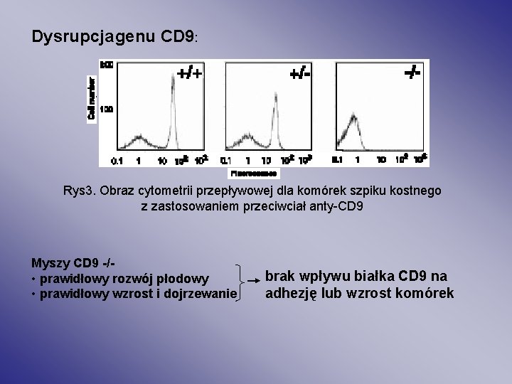 Dysrupcja genu CD 9: Rys 3. Obraz cytometrii przepływowej dla komórek szpiku kostnego z