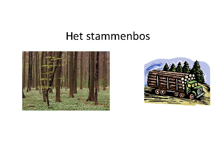 Het stammenbos 