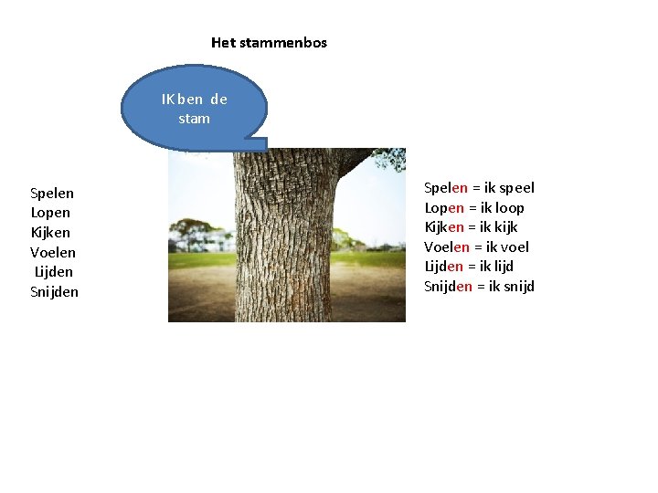 Het stammenbos IK ben de stam Spelen Lopen Kijken Voelen Lijden Snijden Spelen =