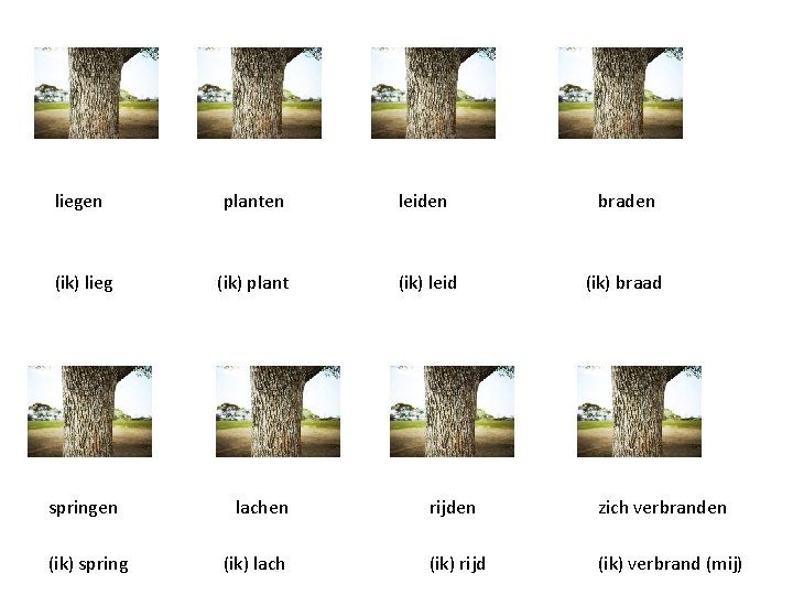 liegen planten leiden braden (ik) lieg (ik) plant (ik) leid (ik) braad springen lachen