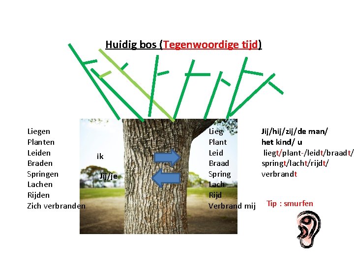 Huidig bos (Tegenwoordige tijd) Liegen Planten Leiden Braden Springen Lachen Rijden Zich verbranden ik